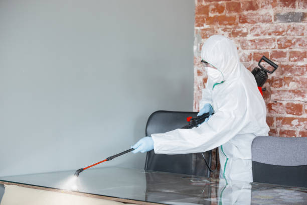 Best Dehumidification Services  in Morenci, AZ